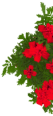 Blrot